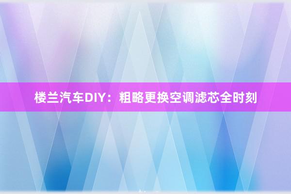 楼兰汽车DIY：粗略更换空调滤芯全时刻